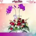 Jual Bunga Anggrek Jakarta 24 Jam